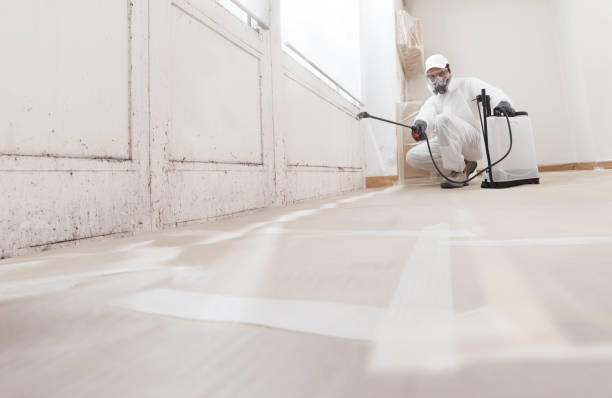 24/7 Emergency Commercial Mold Remediation experts in Philipsburg, PA